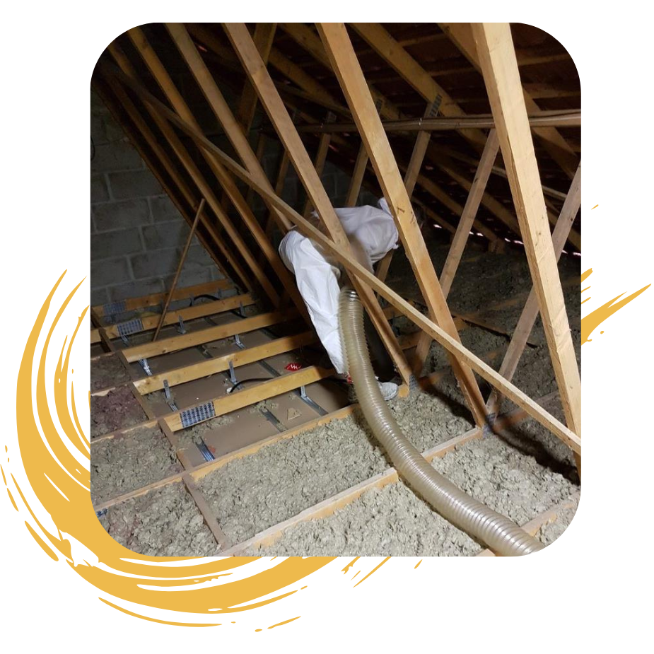 entreprise de peinture bonnetable